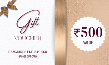Gift Card Bronze Tier